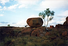 2000 - Australie 219G